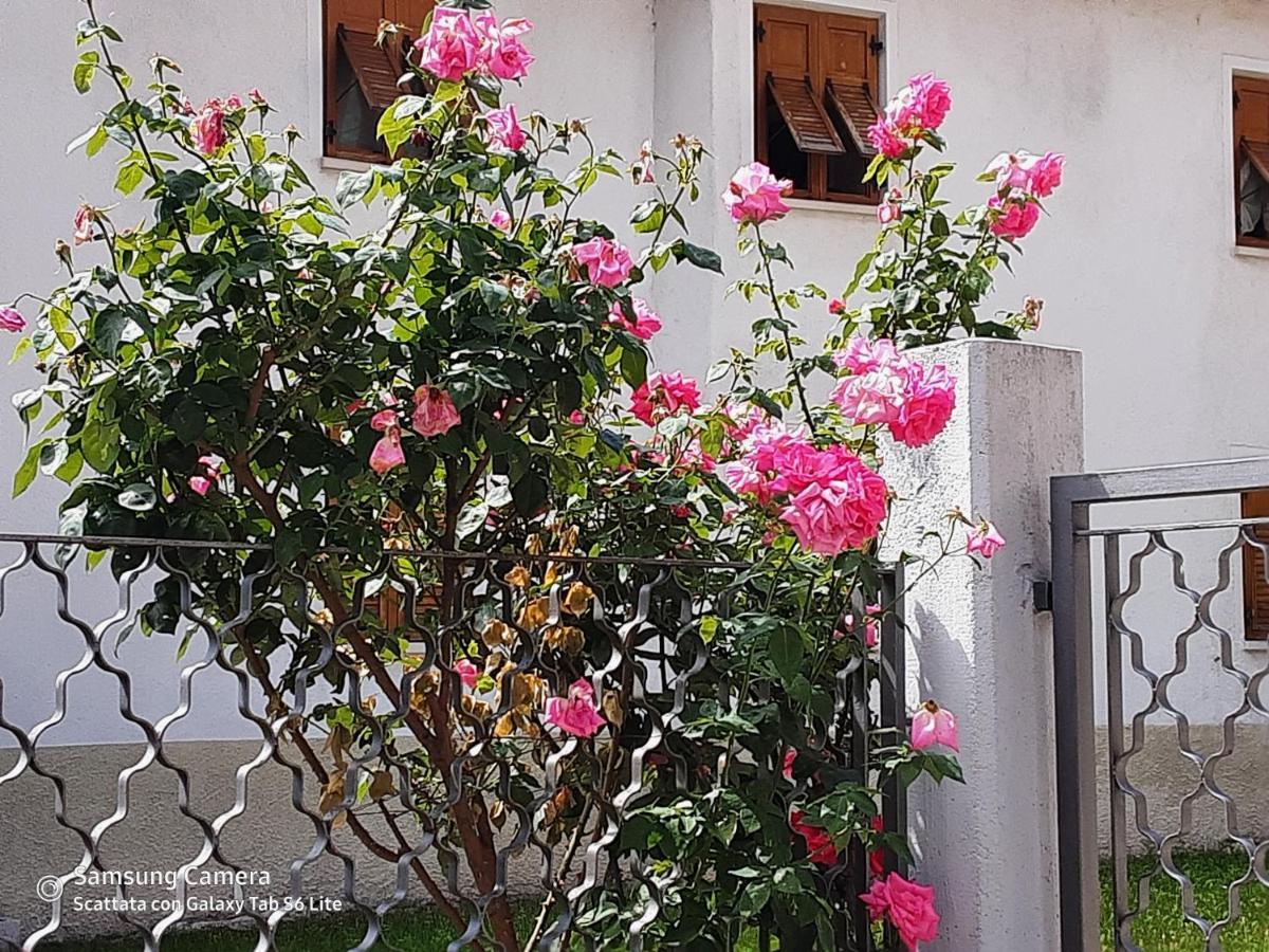 B&B Anna Rovere della Luna Exterior photo